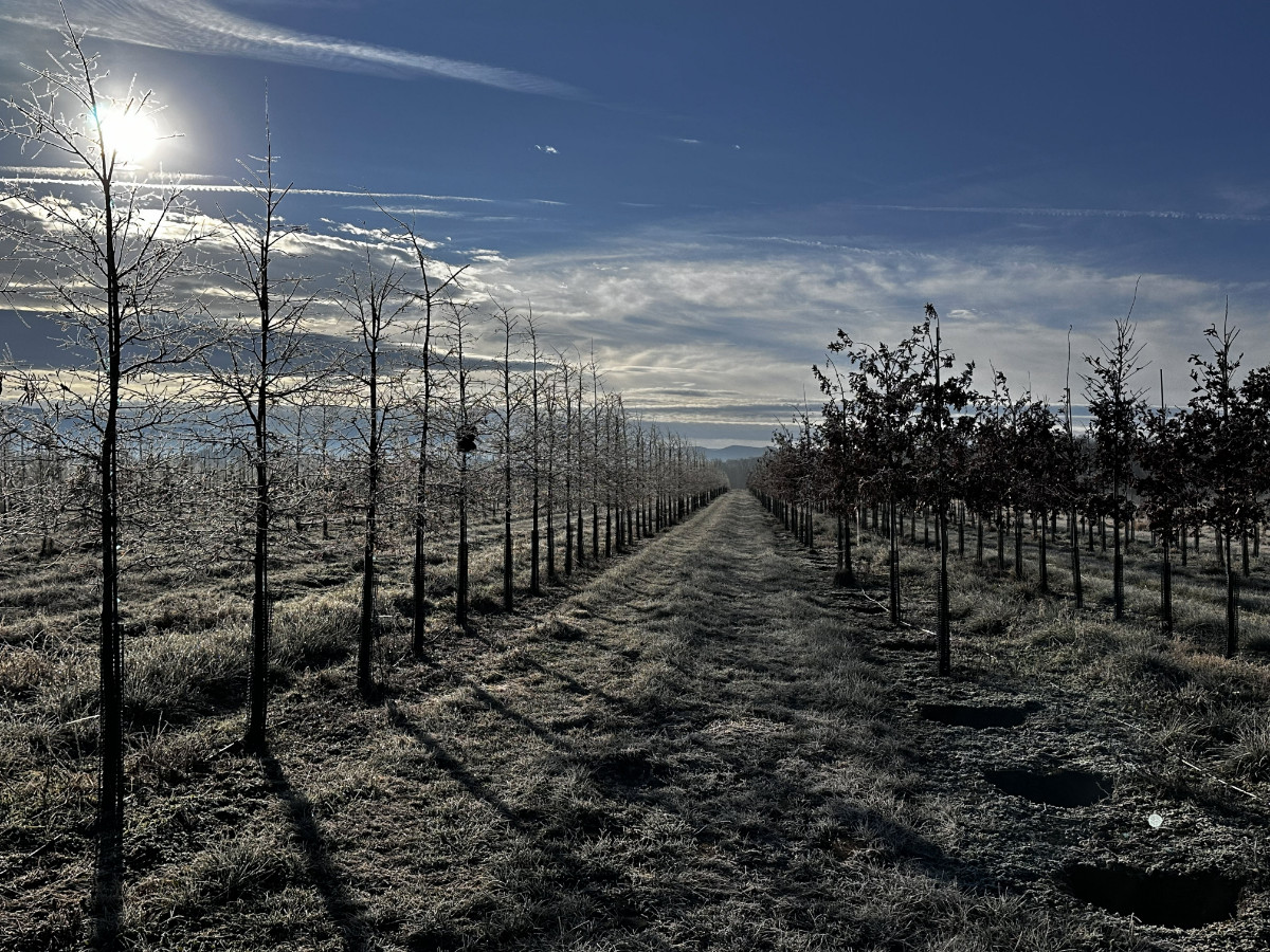 At the Nursery:  Looking Back on Autumn 2025