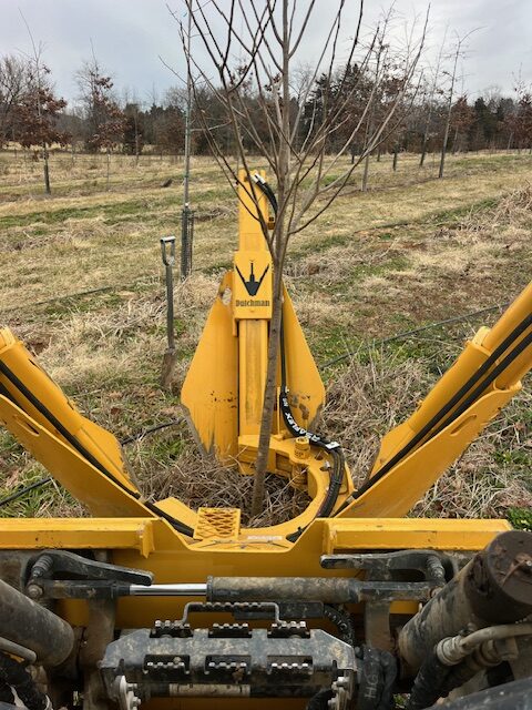 At the Nursery:  Winter Digging