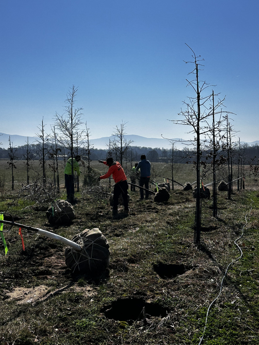 At the Nursery:  Spring Dig 2026; Part 2