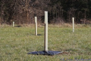 CREP Tree Planting with Shelter and Weed-Barrier Mat